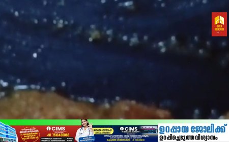 കട്ടപ്പന പള്ളിക്കവലയിലെ എയിസ് (ACE) ഹോട്ടലിൽ വിളമ്പിയ ചിക്കൻ കറിയിൽ ജീവനുള്ള പുഴുക്കൾ.  ഭക്ഷണം കഴിച്ച മൂന്ന് വിദ്യാർത്ഥികൾ ആശുപത്രിയിൽ