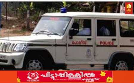 നവജാത ശിശുവിനെ ഭര്‍ത്താവും മാതാപിതാക്കളും കൊലപ്പെടുത്തി'; യുവതിയുടെ പരാതിയിൽ പൊലീസ് പരിശോധന