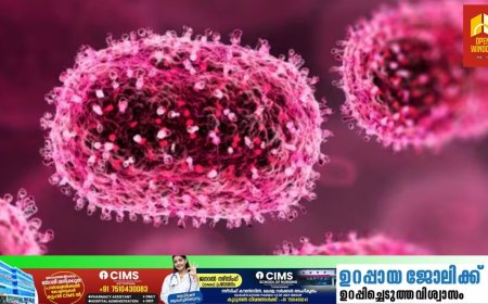 കേരളത്തിൽ ഒരാൾക്ക് കൂടി എംപോക്സ്; എറണാകുളം സ്വദേശിക്ക് രോ​ഗം സ്ഥിരീകരിച്ചു