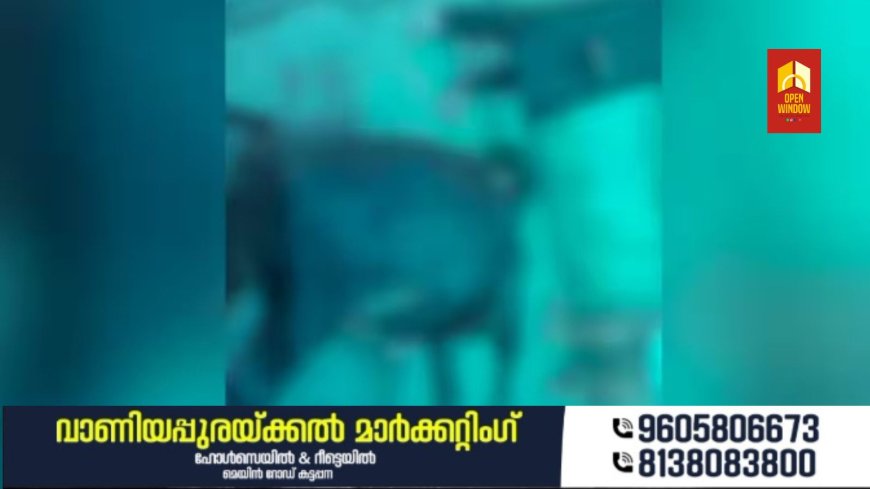 പിറവത്ത് മിണ്ടാപ്രാണിയോട് ക്രൂരത, 6 പശുക്കളെ വെട്ടിപ്പരിക്കേൽപിച്ചു, ഒരെണ്ണം ചത്തു; ഒരാൾ കസ്റ്റഡിയിൽ