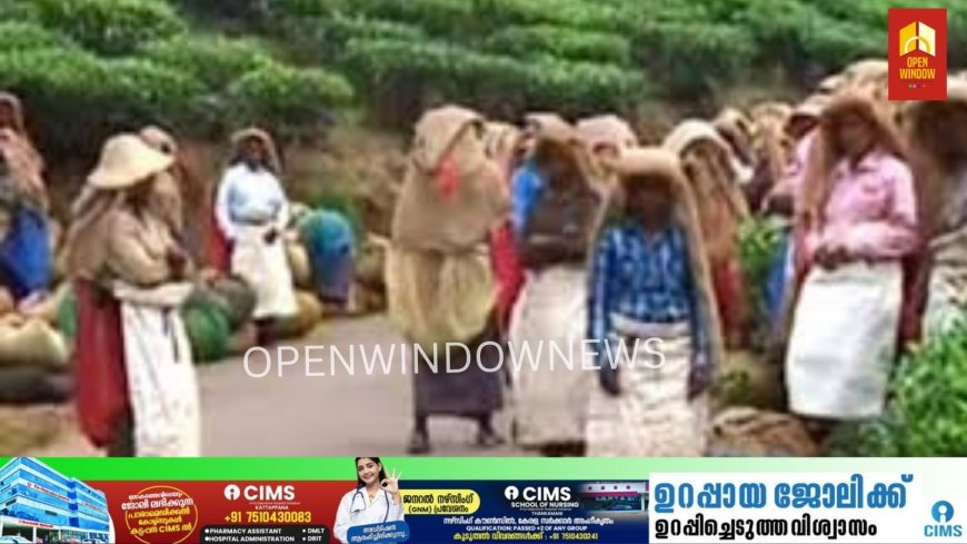 ഹാരിസൺസ് മലയാളം പ്ലാന്റ്റ്റേഷൻ തൊഴിലാളികളുടെ ബോണസ് തീരുമാനമായി