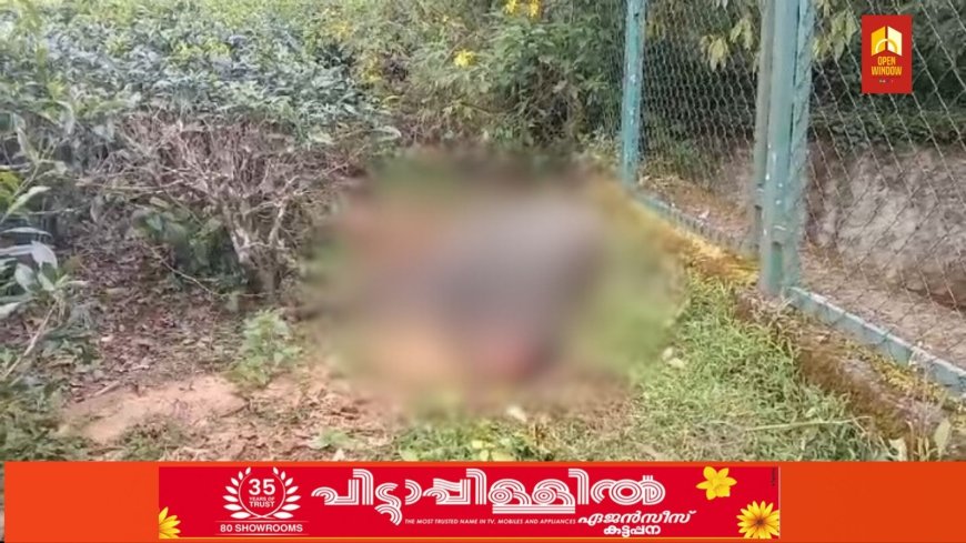 ഏലപ്പാറ പഞ്ചായത്തിൽ വീണ്ടും വന്യമൃഗ സാന്നിധ്യം. ഒന്നാം മൈൽ ജനവാസ മേഖലയിൽ തോട്ടത്തിൽ മേയാൻ വിട്ട പശുക്കടാവിനെ വന്യമൃഗം ആക്രമിച്ചു കൊലപ്പെടുത്തി