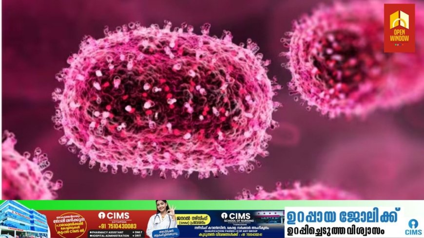 കേരളത്തിൽ ഒരാൾക്ക് കൂടി എംപോക്സ്; എറണാകുളം സ്വദേശിക്ക് രോഗം സ്ഥിരീകരിച്ചു