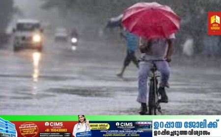 കേരളത്തിൽ മഴ ശക്തമാകുന്നു. ഇന്ന് ഇടുക്കി ഉൾപ്പെടെ അഞ്ച്  ജില്ലകളിൽ  യെല്ലോ അലർട്ട്