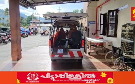 മാങ്കുളം പെരുമ്പന്‍കുത്തില്‍ പുഴയില്‍ യുവാവ് മുങ്ങി മരിച്ചു