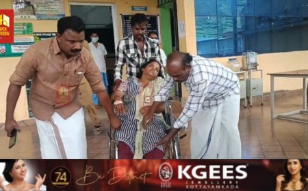 വണ്ടിപ്പെരിയാറിൽ വീണ്ടും കടന്നലിന്റെ ആക്രമണത്തിൽ എസ്റ്റേറ്റ് തൊഴിലാളികൾക്ക് പരിക്ക്