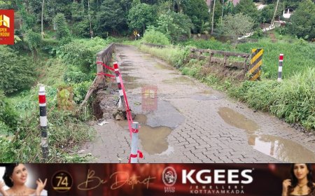 ഇരട്ടയാർ ശാന്തിഗ്രാം പാലത്തിന്റെ ശോചനിയാവസ്ഥ പരിഹരിക്കണമെന്നാവശ്യപ്പെട്ട് ബിജെപി രംഗത്ത്