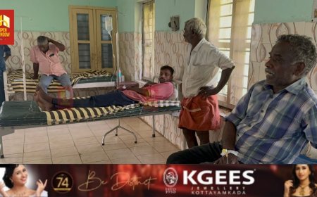 വണ്ടിപ്പെരിയാറിൽ വീണ്ടും കടന്നലിന്റെ ആക്രമണം ; എസ്റ്റേറ്റ് തൊഴിലാളികൾക്ക് പരുക്ക്