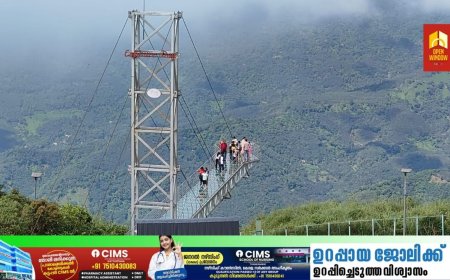 വാഗമൺ ചില്ല് പാലം വീണ്ടും തുറന്നു : ആദ്യദിനംതന്നെ സഞ്ചാരികളുടെ ഒഴുക്ക്