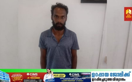 ഏലപ്പാറയിൽ പ്രായപൂർത്തിയാകാത്ത പെൺകുട്ടിക്ക് നേരെ ലൈംഗിക അതിക്രമത്തിന് ശ്രമിച്ച ഒരാളെ പീരുമേട് പോലീസ് അറസ്റ്റ് ചെയ്തു