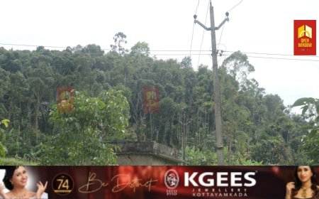 വണ്ടൻമേട് പുറ്റടിയിൽ വൈദ്യുതാഘാതമേറ്റ് അച്ഛനും രണ്ടു മക്കളും മരിച്ചിട്ട് ഇന്ന്(10/9/24) ഒരുവർഷം തികയുമ്പോഴും അപകടത്തിന് ഇടയാക്കിയ ലൈൻ കൃഷിയിടത്തിൽൽ നിന്ന് മാറ്റിസ്ഥാപിക്കുമെന്ന വാഗ്ദാനം നടപ്പായില്ല