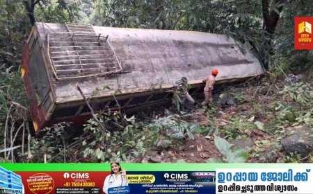 ഇടുക്കി അടിമാലി വാളറയ്ക്ക് സമീപം കെഎസ്ആർടിസി ബസ് അപകടത്തിൽപ്പെട്ടു