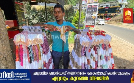 കട്ടപ്പനയിൽ കളം പിടിച്ച് ഇതര സംസ്ഥാന തൊഴിലാളികളുടെ അനധികൃത വ്യാപാരം