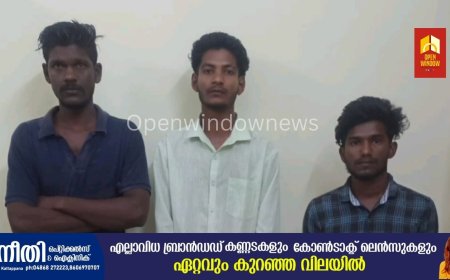 തമിഴ്നാട്ടിലെ കമ്പത്ത് നിന്ന് കേരളത്തിലേക്ക് കഞ്ചാവ് കടത്തിയ നാല് പേരെ പോലീസ് അറസ്റ്റ് ചെയ്തു. ഇവരിൽ നിന്ന് 12 കിലോ കഞ്ചാവ് പിടികൂടി