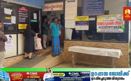 നെടുംകണ്ടത്ത് തൊഴിലുറപ്പ് തൊഴിലാളികൾക്ക്‌ നേരെ പെരുംതേനീച്ച കൂട്ടത്തിന്റെ ആക്രമണം.15 പേർക്ക് കുത്തേറ്റു