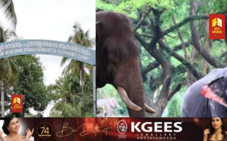 ഗുരുവായൂര്‍ ആനക്കോട്ടയിൽ രണ്ടാം പാപ്പാനെ ആന ആക്രമിച്ചു; കൊമ്പ് കൊണ്ട് തട്ടിയിട്ടു, തൂണിൽ തലയിടിച്ച് പരിക്ക്