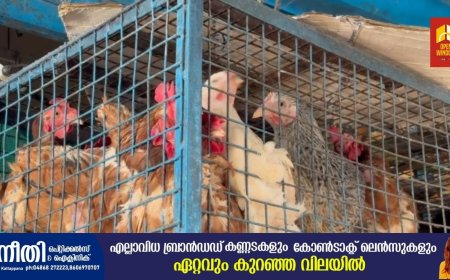 കൈപൊള്ളിച്ച് ഇറച്ചിക്കോഴി വില