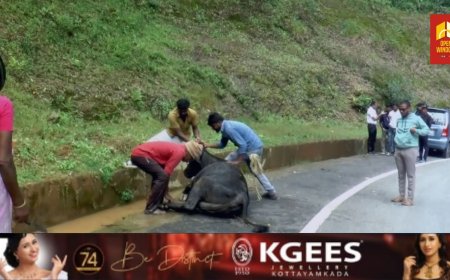 ദേവികുളം മേഖലയില്‍ കന്നുകാലികള്‍ പേവിഷ ബാധയേറ്റ് ചാകുന്നത്  ആശങ്ക പടർത്തുന്നു