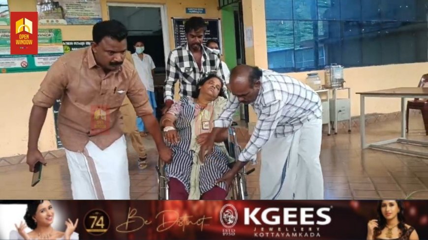 വണ്ടിപ്പെരിയാറിൽ വീണ്ടും കടന്നലിന്റെ ആക്രമണത്തിൽ എസ്റ്റേറ്റ് തൊഴിലാളികൾക്ക് പരിക്ക്