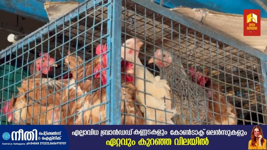 കൈപൊള്ളിച്ച് ഇറച്ചിക്കോഴി വില