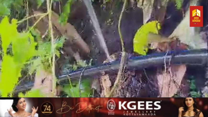 കട്ടപ്പന കല്ലുകുന്നിൽ കുടിവെള്ള പദ്ധതിയുടെ ഹോസുകൾ പൊട്ടിച്ചതായി പരാതി
