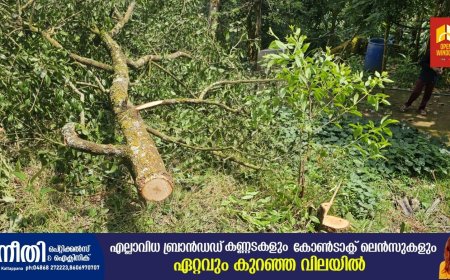 രാമക്കല്‍മേട്ടില്‍ സ്വകാര്യ വ്യക്തിയുടെ പുരയിടത്തില്‍ നിന്നും ചന്ദന മരം മോഷണം പോയി