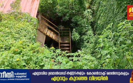 കാട് പടലങ്ങളാൽ മൂടപ്പെട്ട് കട്ടപ്പന ട്രഷറിയുടെ പിൻവശം