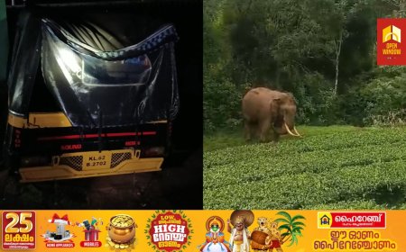 മറയൂരില്‍ വീണ്ടും കാട്ടാന ആക്രമണം