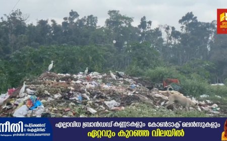 പുളിയന്മലയിൽ മാലിന്യ നീക്കം നടത്താത്തതിനെതിരെ   പ്രതിഷേധം ശക്തമാകുന്നു
