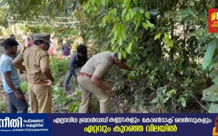മണ്ഡല മകരവിളക്ക് സീസൺ അടുത്തെത്തിയതോടെ വണ്ടിപ്പെരിയാർ സത്രം – പുല്ലുമേട് പരമ്പരാഗത കാനന പാതയിൽ അടിസ്ഥാന സൗകര്യങ്ങളൊരുക്കാൻ വനംവകുപ്പ് നടപടി തുടങ്ങി