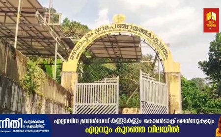 ജില്ലാ ആസ്ഥാന മേഖലയിൽ മഞ്ഞപ്പിത്തം ഉൾപ്പെടെയുള്ള പകർച്ചവ്യാധികൾ പടർന്നു പിടിക്കുമ്പോൾ ജില്ലാ ആരോഗ്യവകുപ്പ് നിഷ്ക്രിയമായി നിലകൊള്ളുന്നു എന്ന്   ആരോപണം