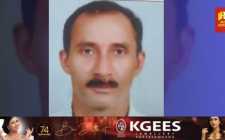 കട്ടപ്പന നെല്ലിപ്പാറയിൽ ഗൃഹനാഥൻ ഷോക്കേറ്റ് മരിച്ചു