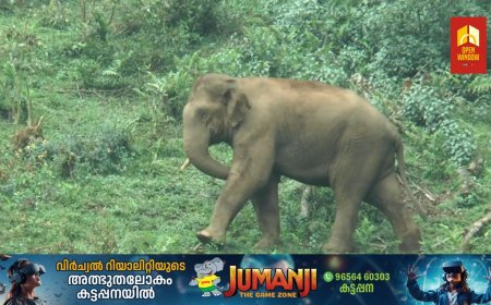 മൂന്നാര്‍ ഗ്രാമപഞ്ചായത്തിന്റെ കല്ലാര്‍ മാലിന്യ സംസ്‌ക്കരണ കേന്ദ്രത്തിന് സമീപം കാട്ടാനകളുടെ സാന്നിധ്യം പതിവാകുന്നു