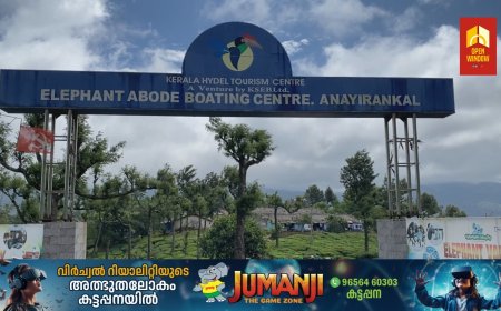 ഇടുക്കിയിലെ വിനോദ സഞ്ചാര മേഖലക്ക് വനം വകുപ്പിൻ്റെ നടപടികൾ തിരിച്ചടിയാകുന്നതായി ആക്ഷേപം