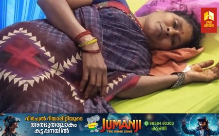 വണ്ടിപ്പെരിയാറിൽ കാട്ടുപോത്തിന്റെ ആക്രമണത്തിൽ തോട്ടം തൊഴിലാളിക്ക് പരിക്ക്