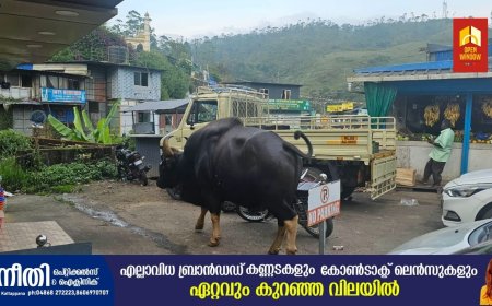 വേനൽ കനക്കും മുൻപേ ജനവാസ മേഖലകളിലേക്ക് കാട്ടുമൃഗങ്ങൾ ഇറങ്ങുന്നു