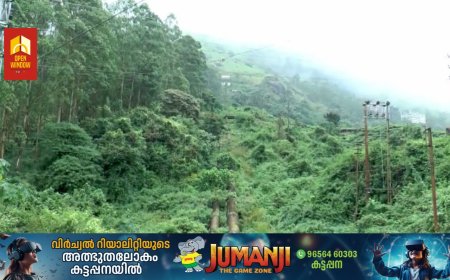 ജലവൈദ്യുതി പദ്ധതികളുടെ ഭാഗമായ പെന്‍സ്റ്റോക്ക് പൈപ്പുകള്‍ക്ക് സമീപം വളര്‍ന്ന് നില്‍ക്കുന്ന പൊന്തക്കാടുകള്‍ വെട്ടി നീക്കണമെന്നാവശ്യം