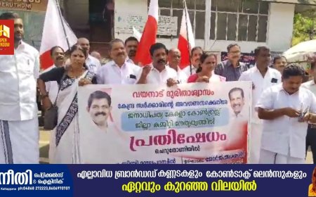 വയനാട് ദുരന്തബാധിതർക്ക് കേന്ദ്രസഹായം അനുവദിക്കാത്തതിൽ പ്രതിഷേധിച്ച് ജനാധിപത്യ കേരള കോൺഗ്രസിന്റെ  നേതൃത്വത്തിൽ ചെറുതോണി ടൗണിൽ പ്രതിഷേധ പ്രകടനവും ധർണയും സംഘടിപ്പിച്ചു