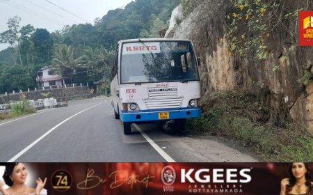 ഏലപ്പാറക്ക് സമീപം കെ എസ് ആർ ടി സി ബസിൽ നിന്നും തെറിച്ച് വീണ് വയോധിക മരിച്ചു