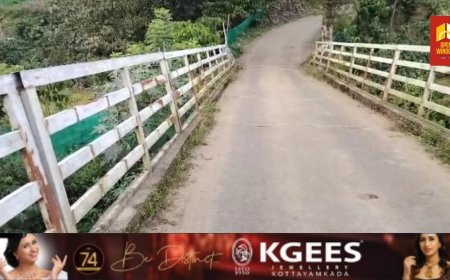 വണ്ടിപ്പെരിയാർ മ്ലാമലയെ രണ്ട് ഹൈവേകളു മായി ബന്ധിപ്പിക്കുന്ന മ്ലാമല പള്ളിപ്പടിപ്പാലത്തിന്റെ കൈവരികൾ തകർന്ന് അപകട ഭീതി പരത്തുന്നതിന് പരിഹാരം കാണണമെന്ന ആവശ്യം ശക്തമാവുന്നു