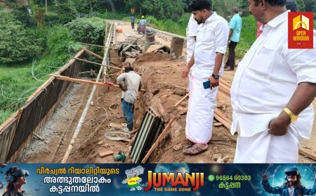 ഇരട്ടയാർ - ശാന്തിഗ്രാം പാലത്തിൻ്റെ സംരക്ഷണ ഭിത്തിനിർമ്മാണം പൂർത്തിയാകുന്നു