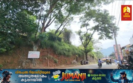 കട്ടപ്പന ഇടുക്കിക്കവലയിൽ അപകട ഭീഷണി ഉയർത്തി നില്ക്കുന്ന മരങ്ങളുടെ ചില്ലകൾ വെട്ടി മാറ്റണമെന്ന ആവശ്യം ശക്തം