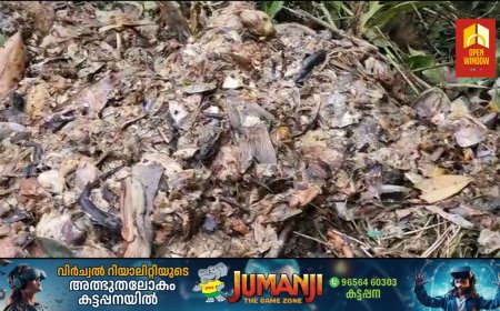 കട്ടപ്പന ആനവിലാസം റോഡിൽ കടമാക്കുഴി രത്തിനപാറയിൽ മത്സ്യ മാലിന്യം തള്ളി