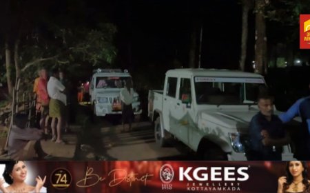 കോതമംഗലം കുട്ടമ്പുഴയിൽ അട്ടിക്കളത്ത് വനത്തിലേക്ക് കയറിപ്പോയ പശുക്കളെ തെരയാൻ പോയ മൂന്ന് സ്ത്രീകൾക്കായി തെരച്ചിൽ പുനരാരംഭിച്ചു