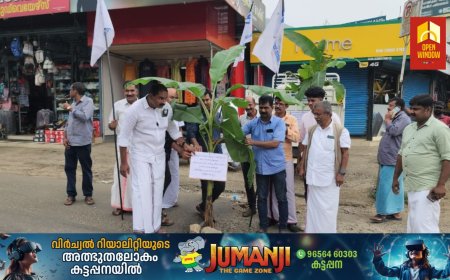 കട്ടപ്പന നഗരസഭ പരിധിയിലുള്ള റോഡുകളുടെ   ശോചനീയാവസ്ഥയിൽ     വാഴ നട്ടു പ്രതിഷേധിച്ചു  വ്യാപാര വ്യവസായി സമിതി