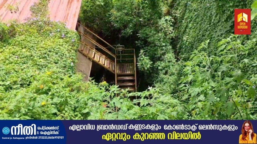 കാട് പടലങ്ങളാൽ മൂടപ്പെട്ട് കട്ടപ്പന ട്രഷറിയുടെ പിൻവശം