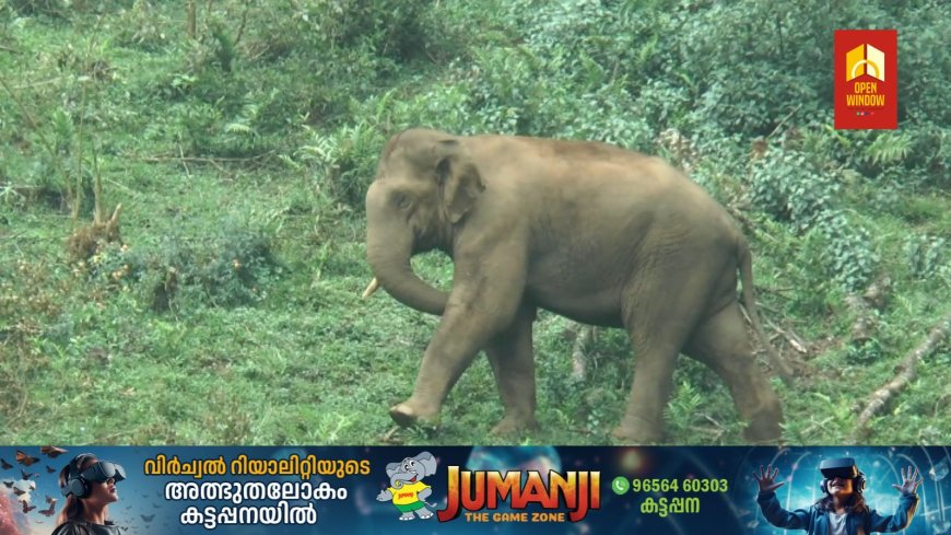 മൂന്നാര്‍ ഗ്രാമപഞ്ചായത്തിന്റെ കല്ലാര്‍ മാലിന്യ സംസ്‌ക്കരണ കേന്ദ്രത്തിന് സമീപം കാട്ടാനകളുടെ സാന്നിധ്യം പതിവാകുന്നു