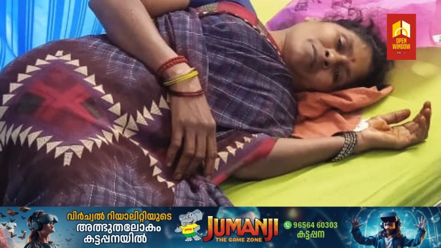 വണ്ടിപ്പെരിയാറിൽ കാട്ടുപോത്തിന്റെ ആക്രമണത്തിൽ തോട്ടം തൊഴിലാളിക്ക് പരിക്ക്