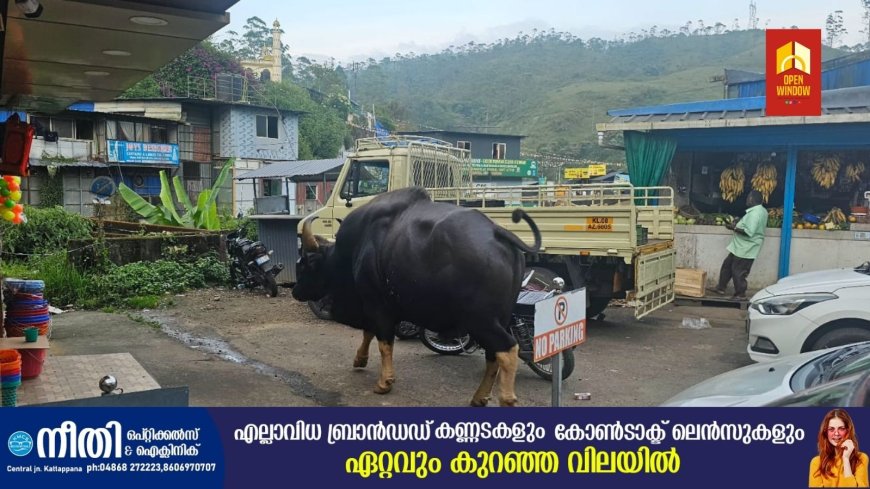 വേനൽ കനക്കും മുൻപേ ജനവാസ മേഖലകളിലേക്ക് കാട്ടുമൃഗങ്ങൾ ഇറങ്ങുന്നു