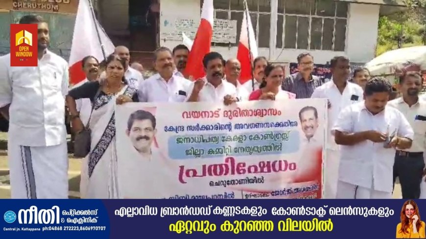 വയനാട് ദുരന്തബാധിതർക്ക് കേന്ദ്രസഹായം അനുവദിക്കാത്തതിൽ പ്രതിഷേധിച്ച് ജനാധിപത്യ കേരള കോൺഗ്രസിന്റെ  നേതൃത്വത്തിൽ ചെറുതോണി ടൗണിൽ പ്രതിഷേധ പ്രകടനവും ധർണയും സംഘടിപ്പിച്ചു